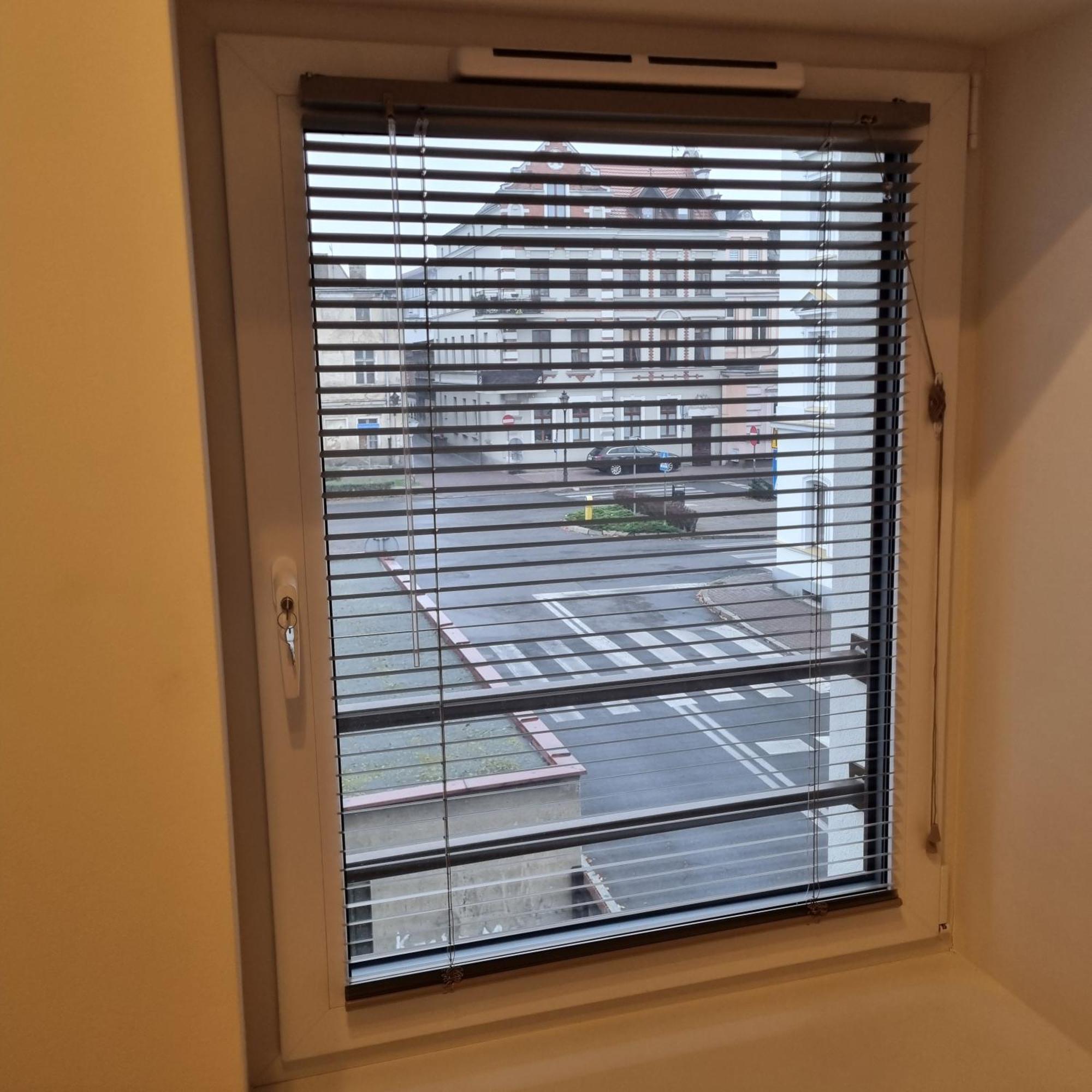 Apartament Centrum 4 Leszno  Εξωτερικό φωτογραφία